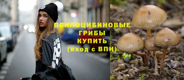 ECSTASY Бородино