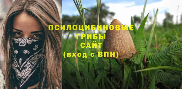амф Бугульма