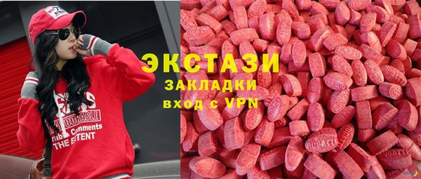 ECSTASY Бородино