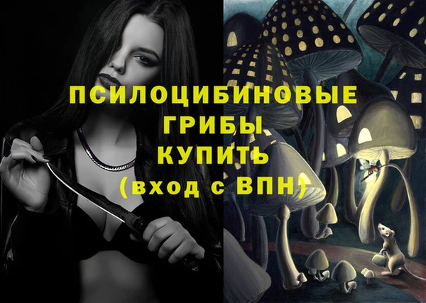 ECSTASY Бородино