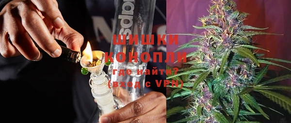 крисы Богданович