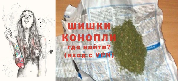 ECSTASY Бородино
