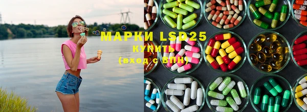 ECSTASY Бородино