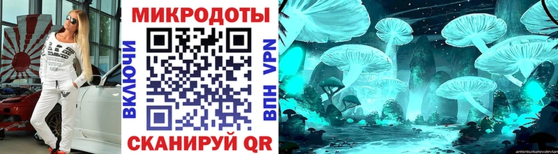 Псилоцибиновые грибы Psilocybe  Купить закладки  Кирсанов 
